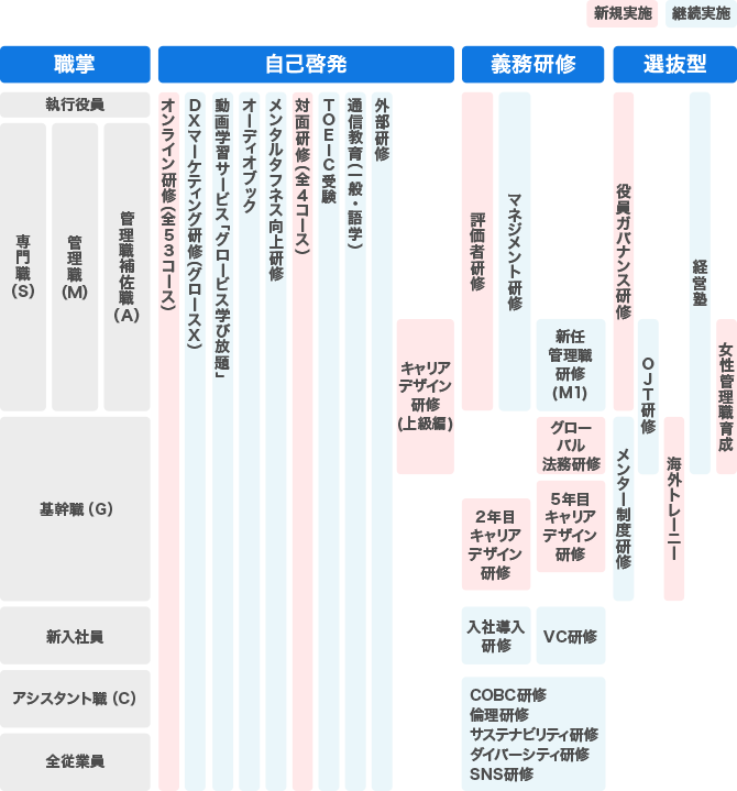 2024年度教育体系概要（詳細）