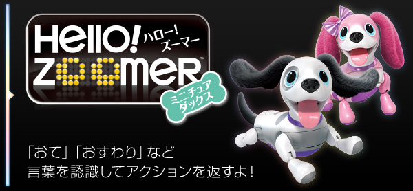 Omnibot Hello! Zoomer