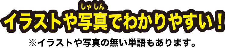 イラストや写真でわかりやすい！※イラストや写真の無い単語もあります。
                    