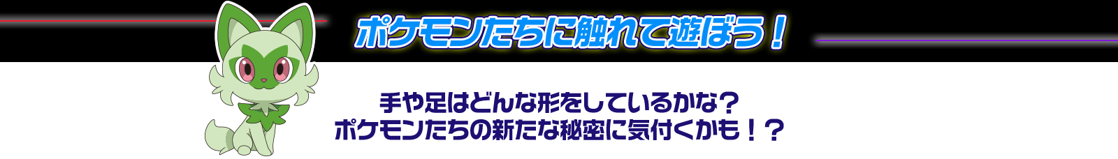 ポケモンたちに触れて遊ぼう！ 手や足はどんな形をしているかな？ポケモンたちの新たな秘密に気付くかも！？