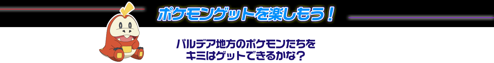 ポケモンゲットを楽しもう！ パルデア地方のポケモンたちをキミはゲットできるかな？