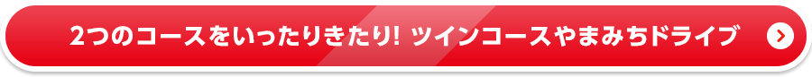 ２つのコースをいったりきたり！ ツインコースやまみちドライブ