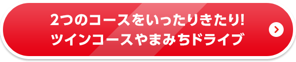 ２つのコースをいったりきたり！ ツインコースやまみちドライブ