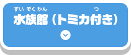 水族館（トミカ付き）