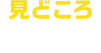 見どころNAVI